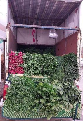 سبزی خوردن خورشتی بدونه آب تمیزو تازه در گروه خرید و فروش خدمات و کسب و کار در زنجان در شیپور-عکس1