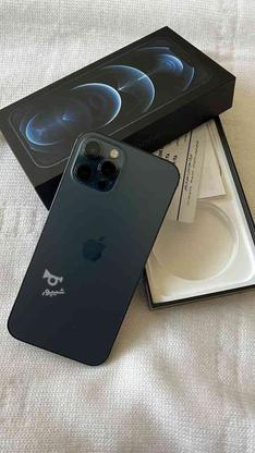 اپل 12 پرو ابی 256 zaa در گروه خرید و فروش موبایل، تبلت و لوازم در مازندران در شیپور-عکس1
