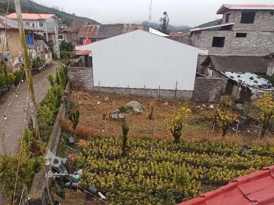 250 متر کاربری مسکونی روستای خیاط محله سیاهکلرود در گروه خرید و فروش املاک در گیلان در شیپور-عکس1