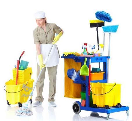 خدمات نظافتی خانه پاک در گروه خرید و فروش خدمات و کسب و کار در تهران در شیپور-عکس1