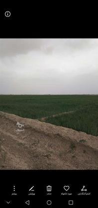 فروش زمین کشاورزی20000متر در گروه خرید و فروش املاک در اصفهان در شیپور-عکس1
