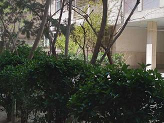 رهن آپارتمان 60 متری در مرکز شهر پهنه فرهنگی هنری رودکی