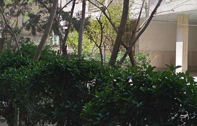 رهن آپارتمان 60 متری در مرکز شهر پهنه فرهنگی هنری رودکی