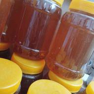 عسل گون طبیعی ساکارز2.6 با برگه آزمایش