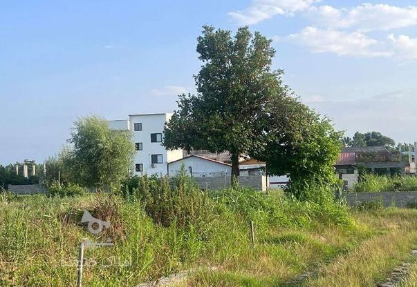 زمین عالی خوش قواره با سند رسمی،قطعه شده در گروه خرید و فروش املاک در مازندران در شیپور-عکس1