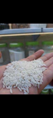 برنج هاشمی سورت شده به شرط پخت در گروه خرید و فروش خدمات و کسب و کار در گیلان در شیپور-عکس1