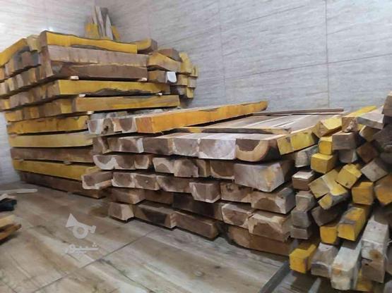 فروش چوب توسکا سفید در گروه خرید و فروش خدمات و کسب و کار در تهران در شیپور-عکس1