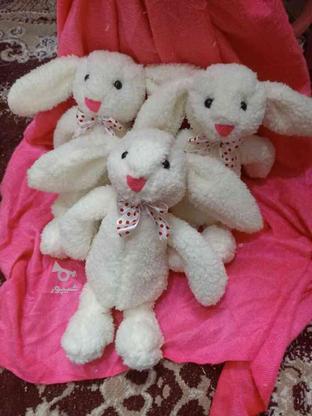 خرگوش جیلی در گروه خرید و فروش ورزش فرهنگ فراغت در خراسان رضوی در شیپور-عکس1