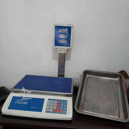 ترازو camary 50 برای وزن کشی. در گروه خرید و فروش صنعتی، اداری و تجاری در گیلان در شیپور-عکس1