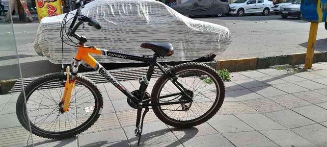 دوچرخه viva در گروه خرید و فروش ورزش فرهنگ فراغت در البرز در شیپور-عکس1
