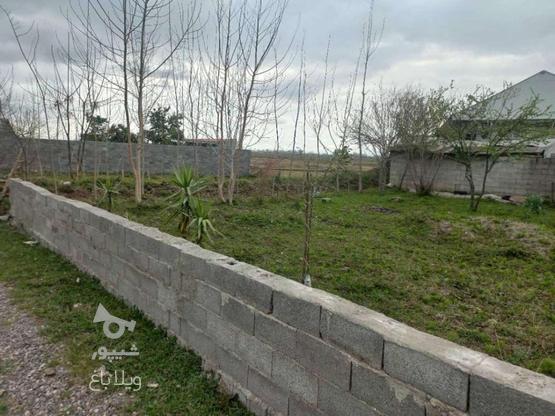 فروش 400 متر زمین کاملا مسکونی کوچصفهان در گروه خرید و فروش املاک در گیلان در شیپور-عکس1