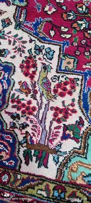 فرش دستبافت 12متری در گروه خرید و فروش لوازم خانگی در مازندران در شیپور-عکس1