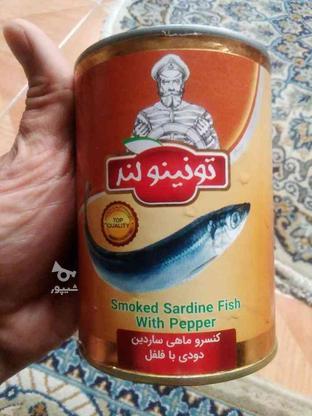 کنسرو ماهی ساردین،بدون سروبدون دم در گروه خرید و فروش خدمات و کسب و کار در تهران در شیپور-عکس1
