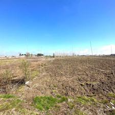 فروش زمین3100 متری/ مناسب شهرک سازی