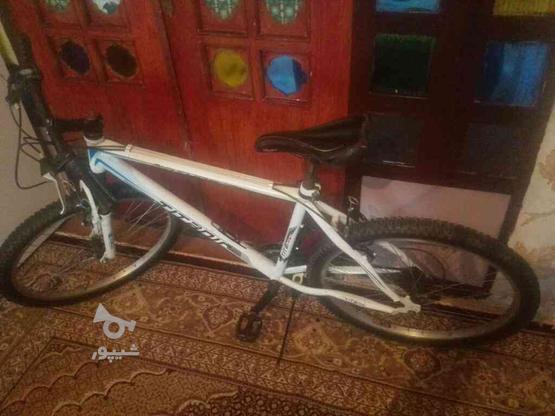 دوچرخه 26 دنده ای تایتانیک در گروه خرید و فروش ورزش فرهنگ فراغت در کرمانشاه در شیپور-عکس1