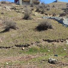 زمین کوهستانی،بافت مسکونی225متر،چلاو فیلبند