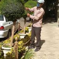 خدمات باغبانی وسمپاشی تمام تهران