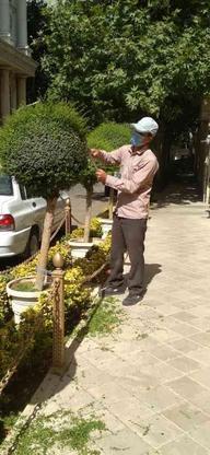 خدمات باغبانی وسمپاشی تمام تهران در گروه خرید و فروش خدمات و کسب و کار در تهران در شیپور-عکس1