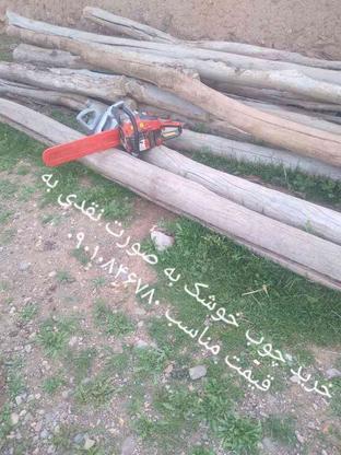 خرید چوب خوشک در گروه خرید و فروش خدمات و کسب و کار در آذربایجان غربی در شیپور-عکس1