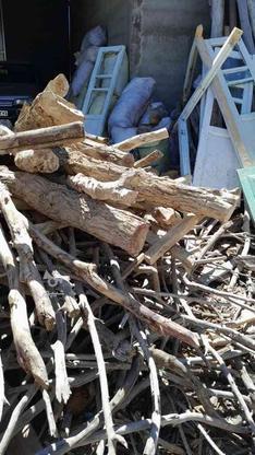 خرید چوب خشک وضایعات چوب در گروه خرید و فروش خدمات و کسب و کار در همدان در شیپور-عکس1