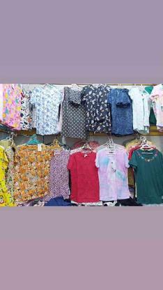 تیشرت نخی نو در گروه خرید و فروش لوازم شخصی در بوشهر در شیپور-عکس1