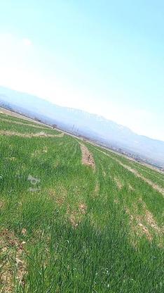 زمین کشاورزی در گروه خرید و فروش املاک در زنجان در شیپور-عکس1