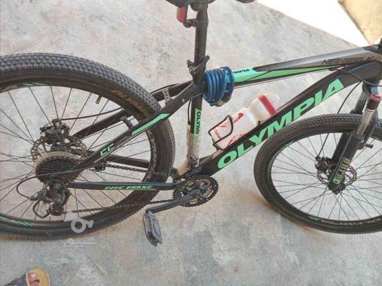 دوچرخه اولنپیا سالم سند دار در گروه خرید و فروش ورزش فرهنگ فراغت در مازندران در شیپور-عکس1