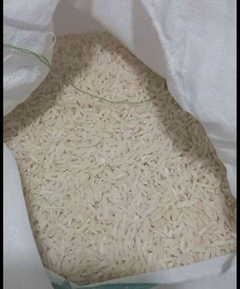 برنج هاشمی درجه یک  در گروه خرید و فروش خدمات و کسب و کار در تهران در شیپور-عکس1