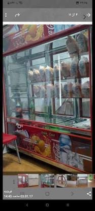 یخچال مرغ فروشی در گروه خرید و فروش صنعتی، اداری و تجاری در خوزستان در شیپور-عکس1