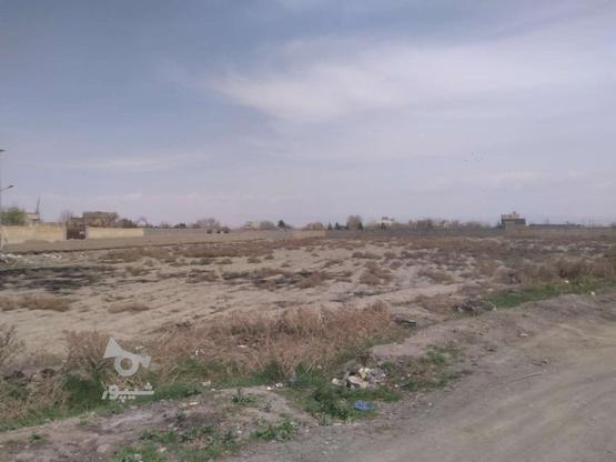 زمین 1000متر توس 41 در گروه خرید و فروش املاک در خراسان رضوی در شیپور-عکس1