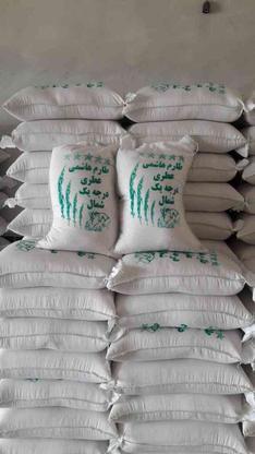 برنج طارم وندا شمارا خریدارم در گروه خرید و فروش خدمات و کسب و کار در مازندران در شیپور-عکس1