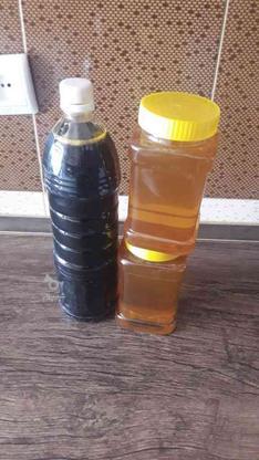 عسل طبیعی مستقیم از کندو در گروه خرید و فروش خدمات و کسب و کار در البرز در شیپور-عکس1