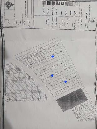فروش زمین 240 متری در گروه خرید و فروش املاک در بوشهر در شیپور-عکس1
