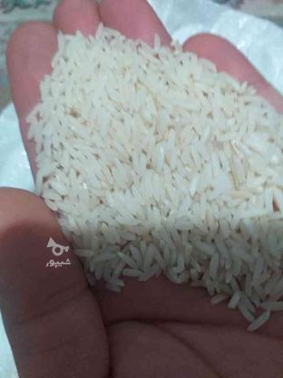 برنج هاشمی کیلویی 80 در کیسهای 20 کیلویی در گروه خرید و فروش خدمات و کسب و کار در گیلان در شیپور-عکس1