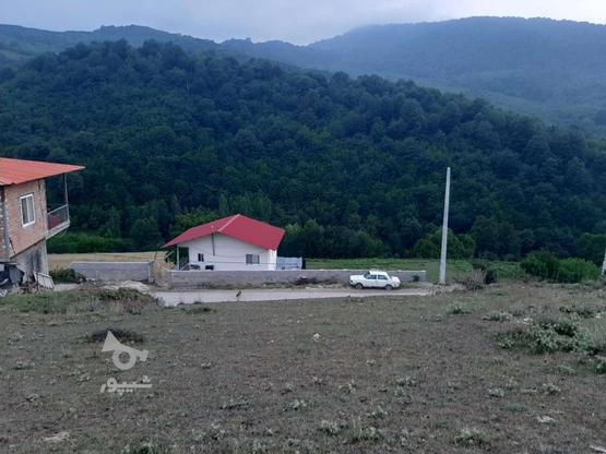فروش زمین زیر قیمت ساری شهر فریم 158 متر در گروه خرید و فروش املاک در مازندران در شیپور-عکس1