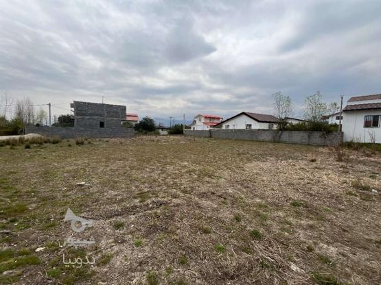 فروش زمین مسکونی 357 متر در آبکله سر بزرگ در گروه خرید و فروش املاک در مازندران در شیپور-عکس1
