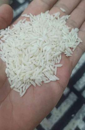 خریدار برنج خرده و عمده (نقدی 70 ت) در گروه خرید و فروش خدمات و کسب و کار در گیلان در شیپور-عکس1