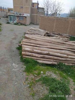 چوب سقفی فروشی در گروه خرید و فروش صنعتی، اداری و تجاری در آذربایجان غربی در شیپور-عکس1