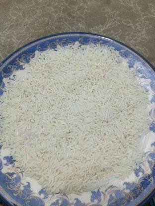 برنج طارم هاشمی در گروه خرید و فروش خدمات و کسب و کار در مازندران در شیپور-عکس1