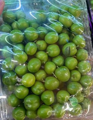 گوجه سبز تازه در گروه خرید و فروش خدمات و کسب و کار در تهران در شیپور-عکس1