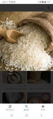 برنج هاشمی ارگانیک در گروه خرید و فروش خدمات و کسب و کار در مازندران در شیپور-عکس1