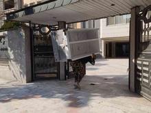 حمل نیرو اثاث کشی تخصصی گول بهار در شیپور