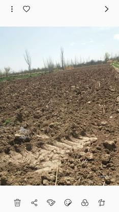 اجاره زمین کشاورزی در گروه خرید و فروش املاک در آذربایجان غربی در شیپور-عکس1