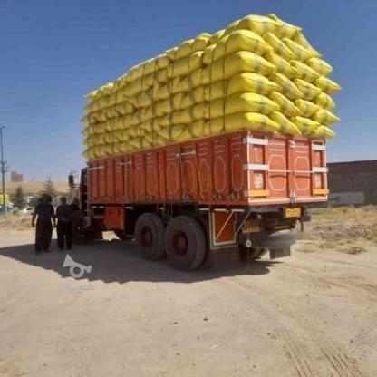 کاه گندم مرغوب گونی شده در گروه خرید و فروش صنعتی، اداری و تجاری در تهران در شیپور-عکس1