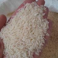 برنج گرگان به شرط پخت