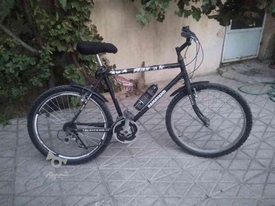 دوچرخه دماوند در گروه خرید و فروش ورزش فرهنگ فراغت در خراسان رضوی در شیپور-عکس1