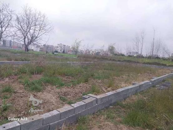 فروش زمین مسکونی 200 متر در درمه کلا در گروه خرید و فروش املاک در مازندران در شیپور-عکس1