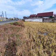 زمین 160 متری برخیابان اصلی در گزافرود کلاچای