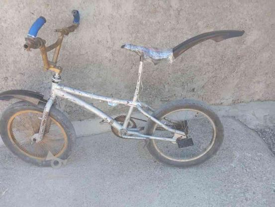دوچرخه فقط ساجمه فرمون نداره در گروه خرید و فروش ورزش فرهنگ فراغت در کرمان در شیپور-عکس1