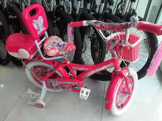 دوچرخه 16 دخترانه صورتی در گروه خرید و فروش ورزش فرهنگ فراغت در گلستان در شیپور-عکس1